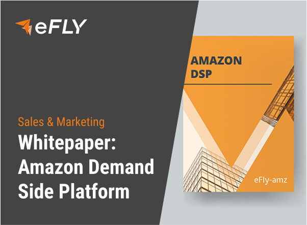Amazon DSP Whitepaper