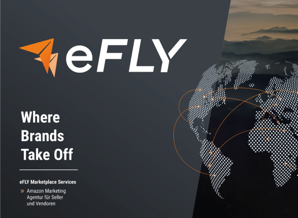 Pitchdeck eFLY